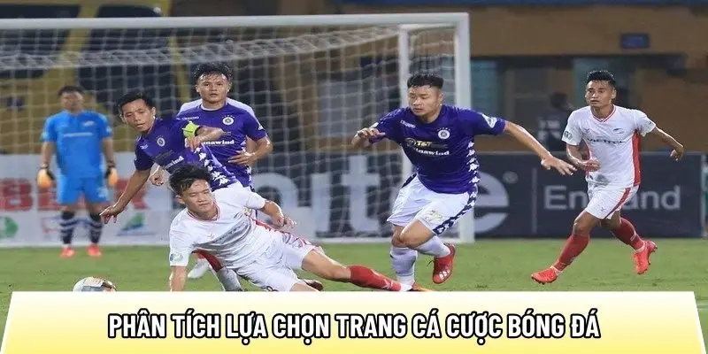 Trangcadobongda.lat phân tích lựa chọn trang cá cược bóng đá